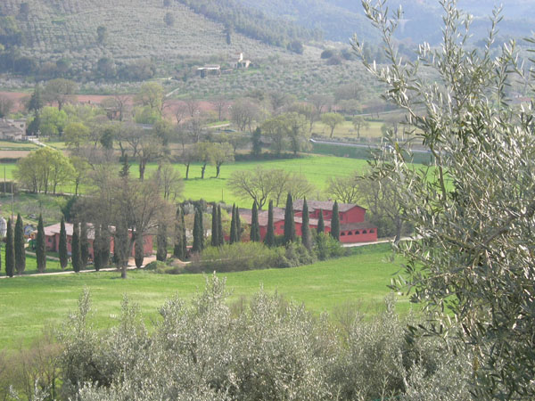 Collelignani
