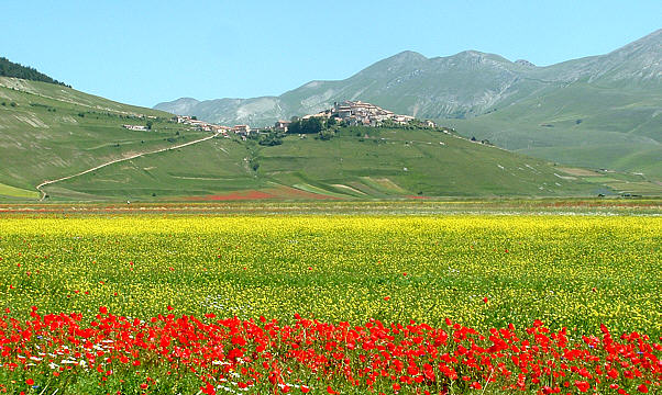 Castelluccio